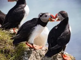 Malarhorn Accommodations