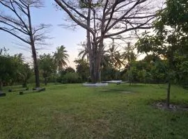 Mkungu House Private Villa