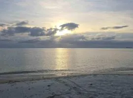 Mkungu House Private Villa