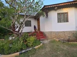 Mkungu Oceanside Guesthouse