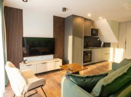 Le Lounge-Prestige Residence Euroairport: Hésingue şehrinde bir otel