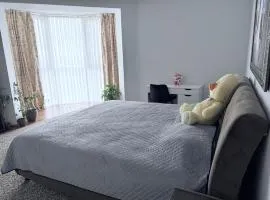 Apartament Chișinău, Buicani, Alba- Iulia