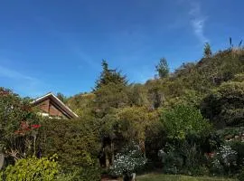 Hotel Campestre los Duraznos