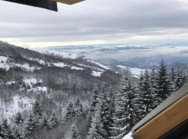 Chalet Pinecone - Ušuškan apartman, savršen za zimu i leto - Modern Mountain Retreat with Stunning View – hotel w mieście Kopaonik