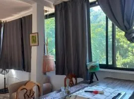 Estudio La Higuera