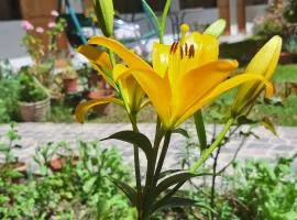 Kenti's Home Ollantaytambo