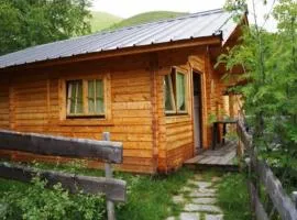 Chalet chaleureux - 5 pers. avec terrasse - API-1-52-1963