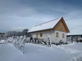 Modernes Kellerstöckl im Südburgenland