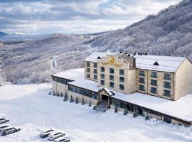 Multi Grand Resort, hotel u gradu Tsaghkadzor