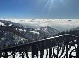 Vila Golija StudiovetKop