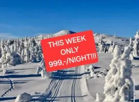 Fantastic and high standard apartment in Nordseter