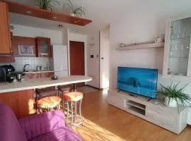 Elena's apartment