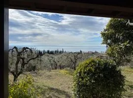 Villa Cà Bottura agli ulivi