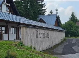 Apartments Dřevařská - Benecko