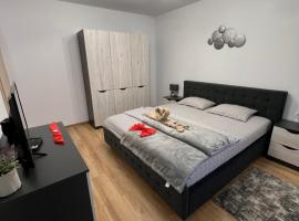 Emanuela Apartments, gistista&eth;ur &iacute; Pecica