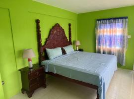 Reggae Moon Guesthouse, Hotel in Falmouth