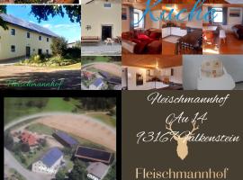 Fleischmannhof Do san ma dahoam, hotel Falkensteinben