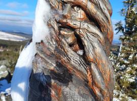 Apartmán u Klínovce, Hotel in Měděnec