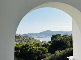 The Lotus House - Premium Coastal Living