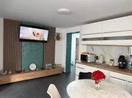Casa Apartament Refugiul Dornean