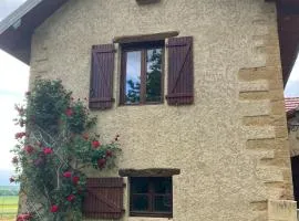 Gîte du Poisson Rouge, grand terrain, gites Fanoli, 10 min Arbois