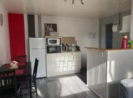 Hirondelles 5 avec terrasse