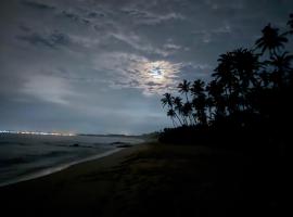 Shine Wave Turtle Beach