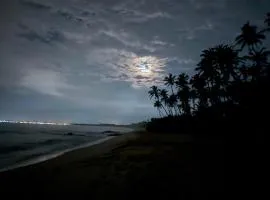 Shine Wave Turtle Beach