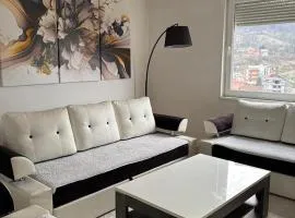 Apartment Meskovic