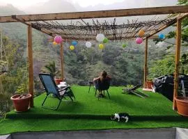 Tiny House Ribeira Principal