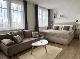 Smarty Choice Living with FREE PARKING - Vondroušova