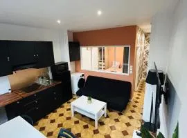 Appartement Lumineux 2