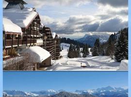 Les Terrasses du Mont blanc, отель в городе Ле-Праз-де-Лис, рядом находится Пра-де-Лис — Соман