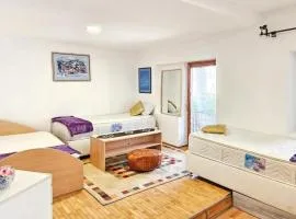 Apartman Ribica Ajan