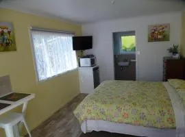 Hamilton Gardens at your door