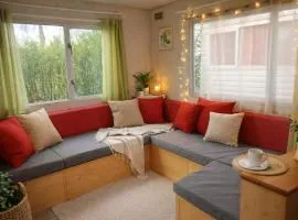 Le Bruant des Roseaux