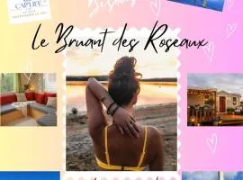 Le Bruant des Roseaux