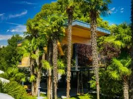 TreeLodgy, The Tree House