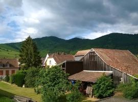 Studio au coeur du Vignoble, hôtel à Wintzenheim