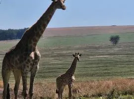 Elephant hide away Baby cottage