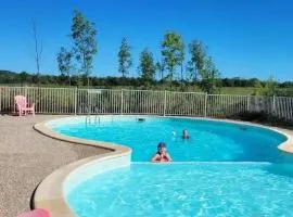 Le Pluvier des Fougères