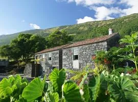 Adegas do Pico