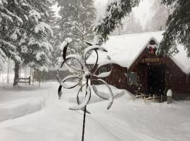 Creekside Cabin at O-Bar-O, hotel in Durango