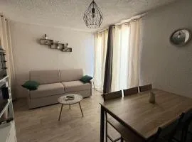 Studio 4 à 5 personnes Saint Jean Montclar