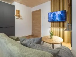 Ferienhaus Dresselbach - Wohnung 03 "Riesenbühlblick" in Schluchsee für 2 Personen