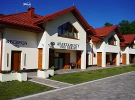 Apartamenty pod Dębami - noclegi Beskid Niski