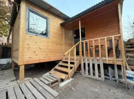 Mulberrytree shied house