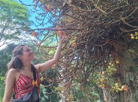 Heritage Haven, hotel din Kandy