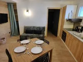 L'instant Montagne - 15 min des pistes de ski