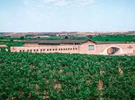 Alojamiento rural Solterra